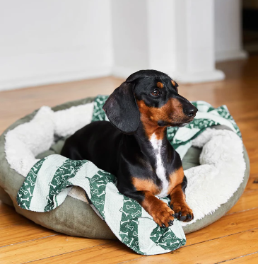 Dock and Bay, Dog Towel - Medium - Bones Dock And Bay