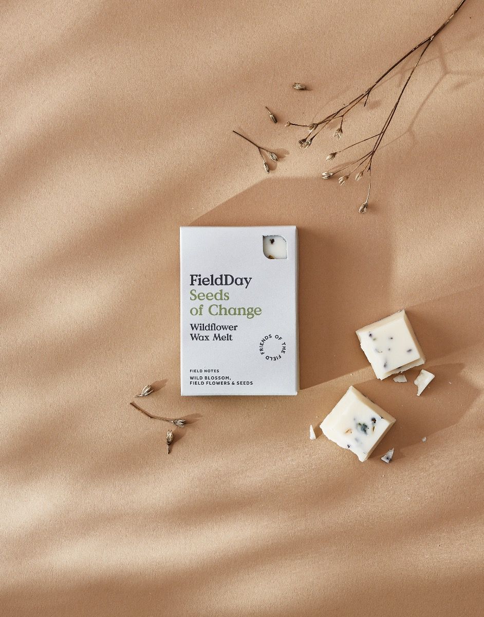 FieldDay, Wax Melts - Wildflower FieldDay