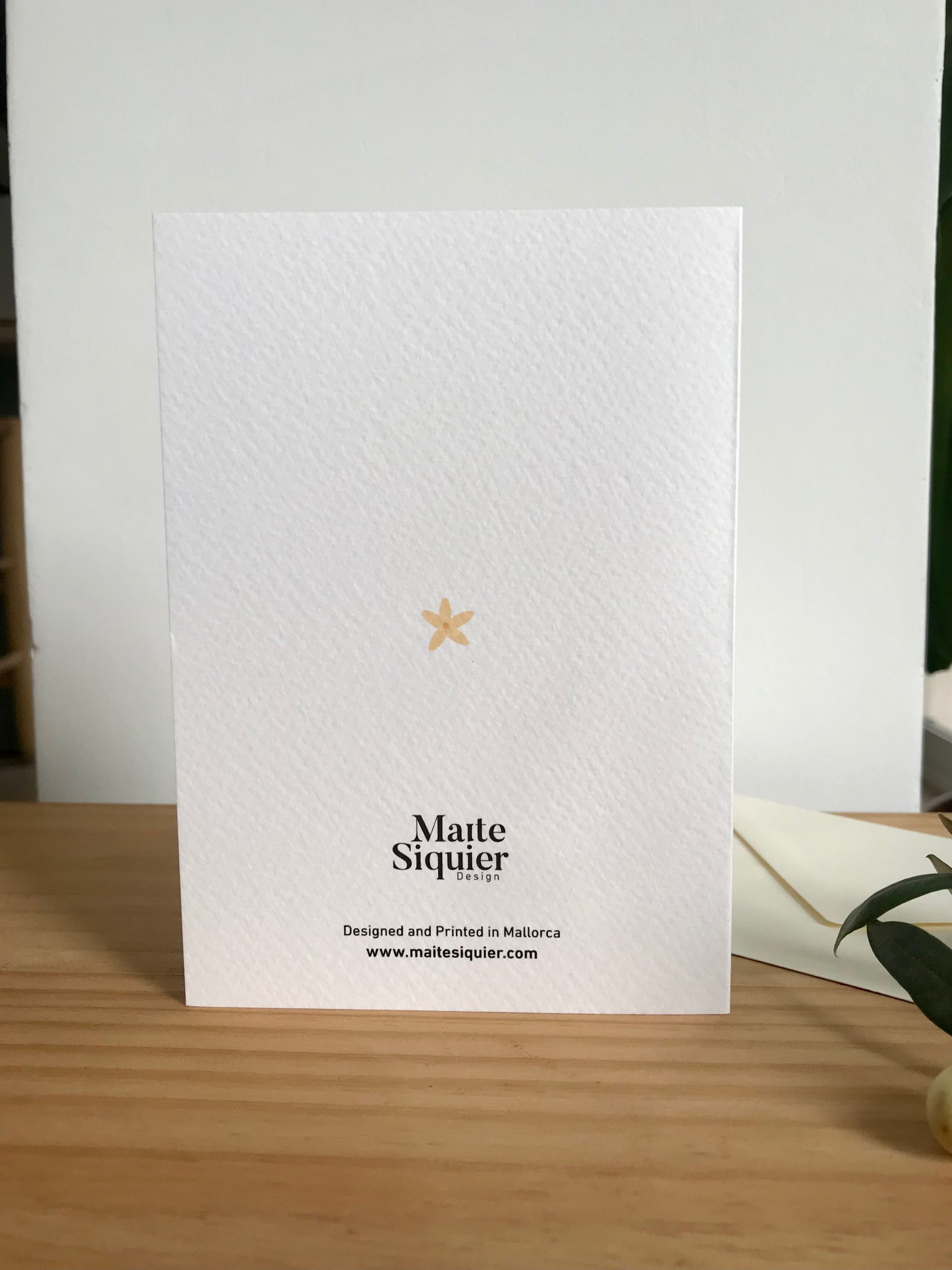 ¡Feliz Navidad! Greeting Card Quinlans Gift Shop