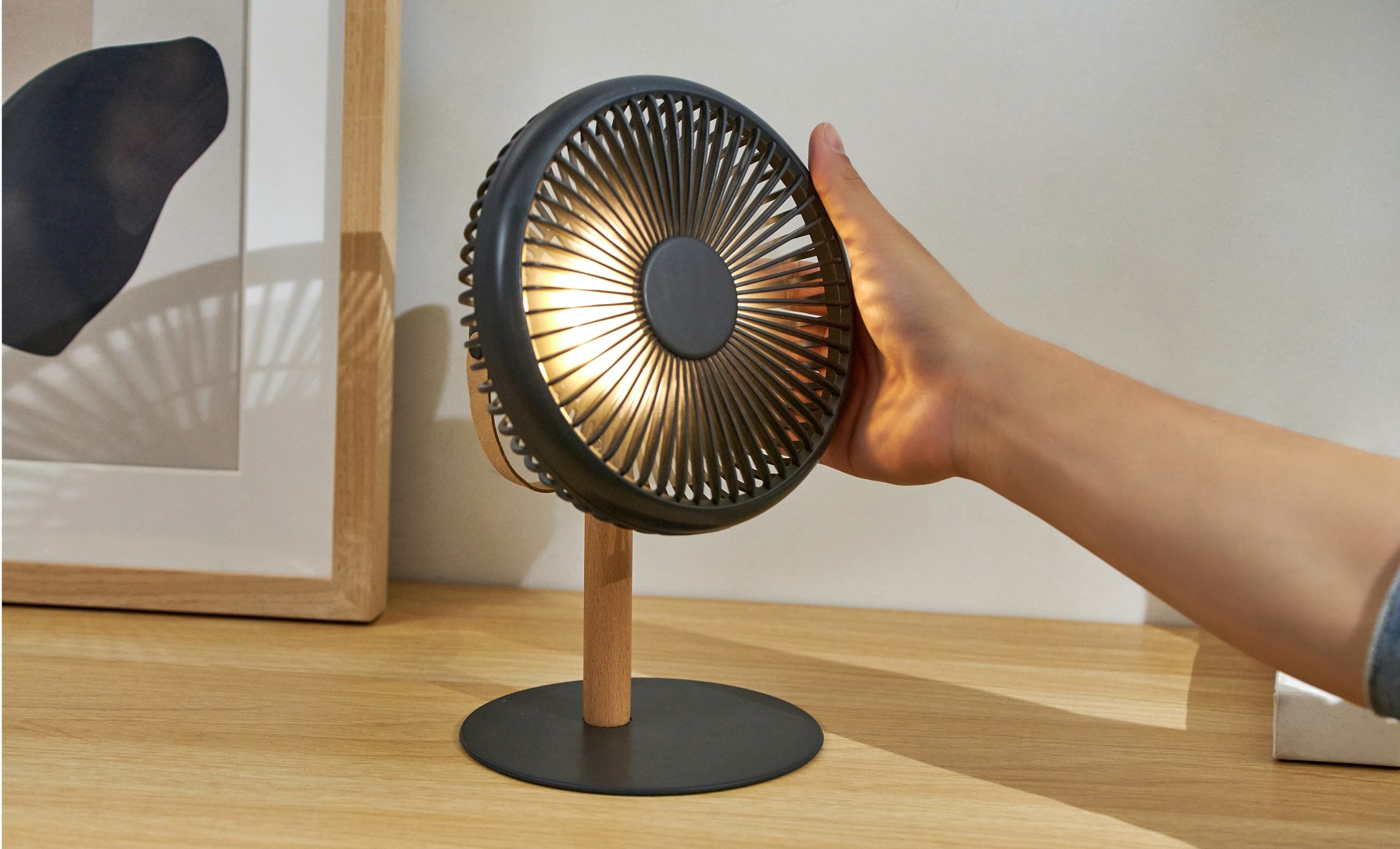 Gingko, Beyond Detachable Desk Fan light/grey