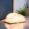 Gingko, Natural Wood Smart Book Light Mini Walnut