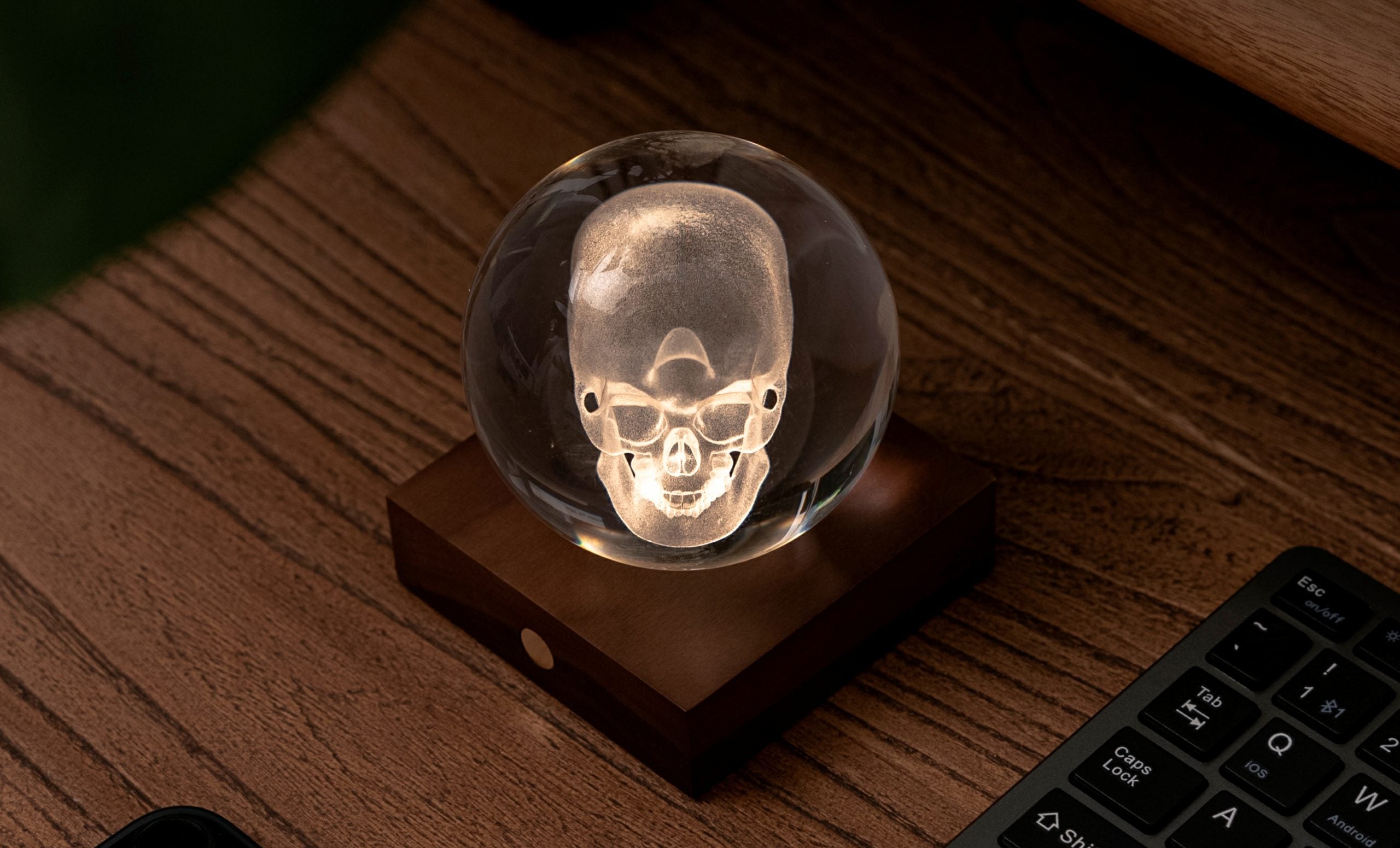 Gingko, Skull Amber Crystal Light