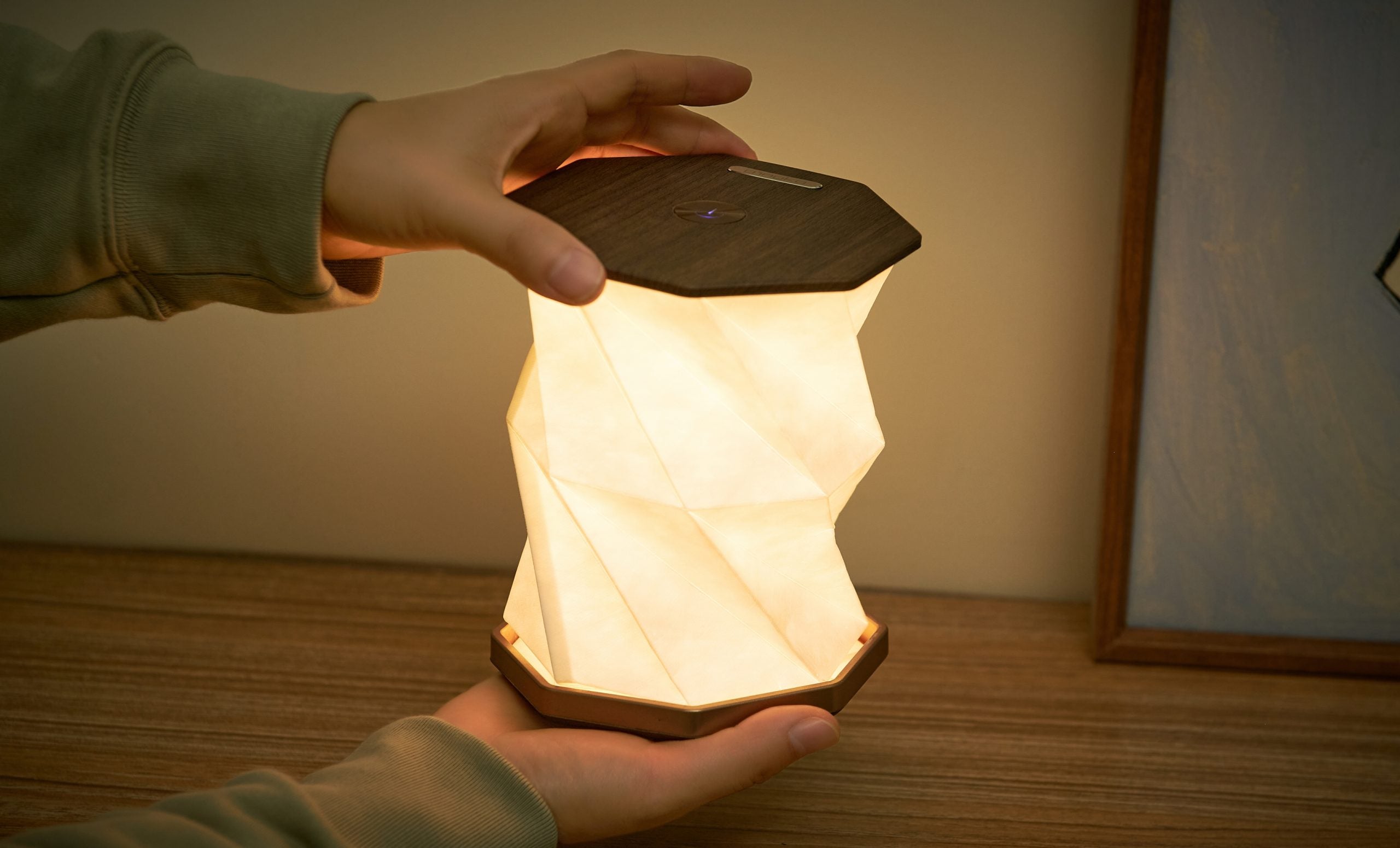 Gingko, Twist Hexagon Lamp - Walnut