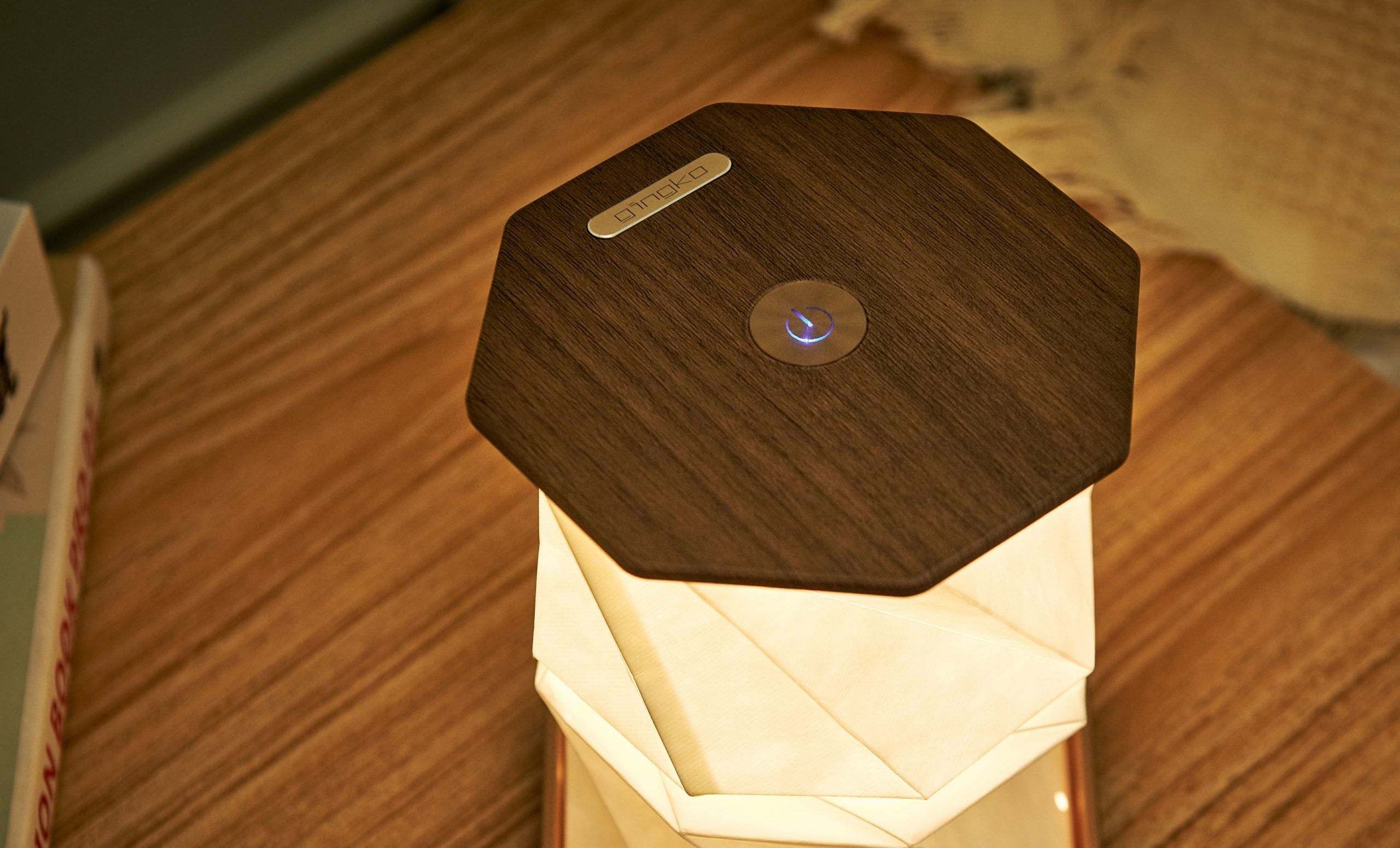 Gingko, Twist Hexagon Lamp - Walnut