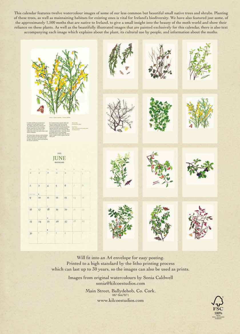 Kilcoe Studios, Calender 2025 Native Irish Trees & Shrubs