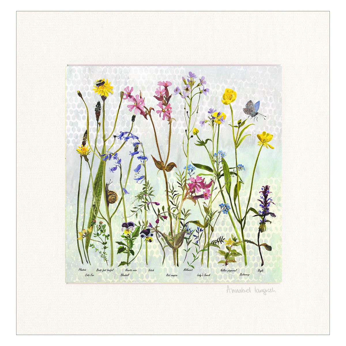 Annabel Langrish, Wildflowers Spring Print
