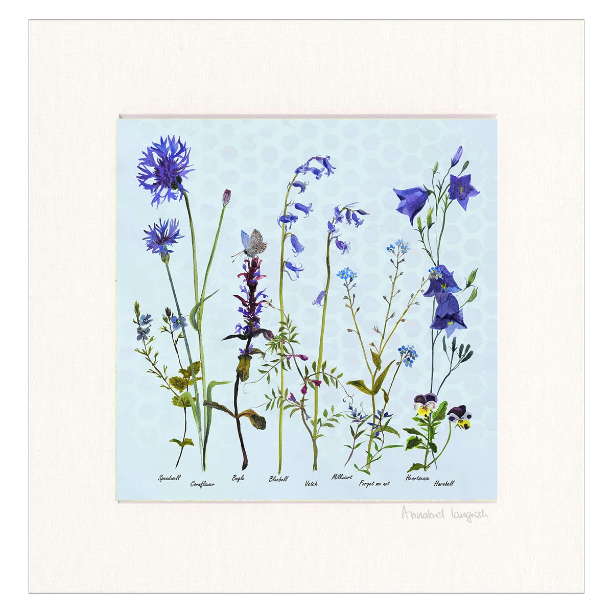 Annabel Langrish, Wildflowers The Blues Print
