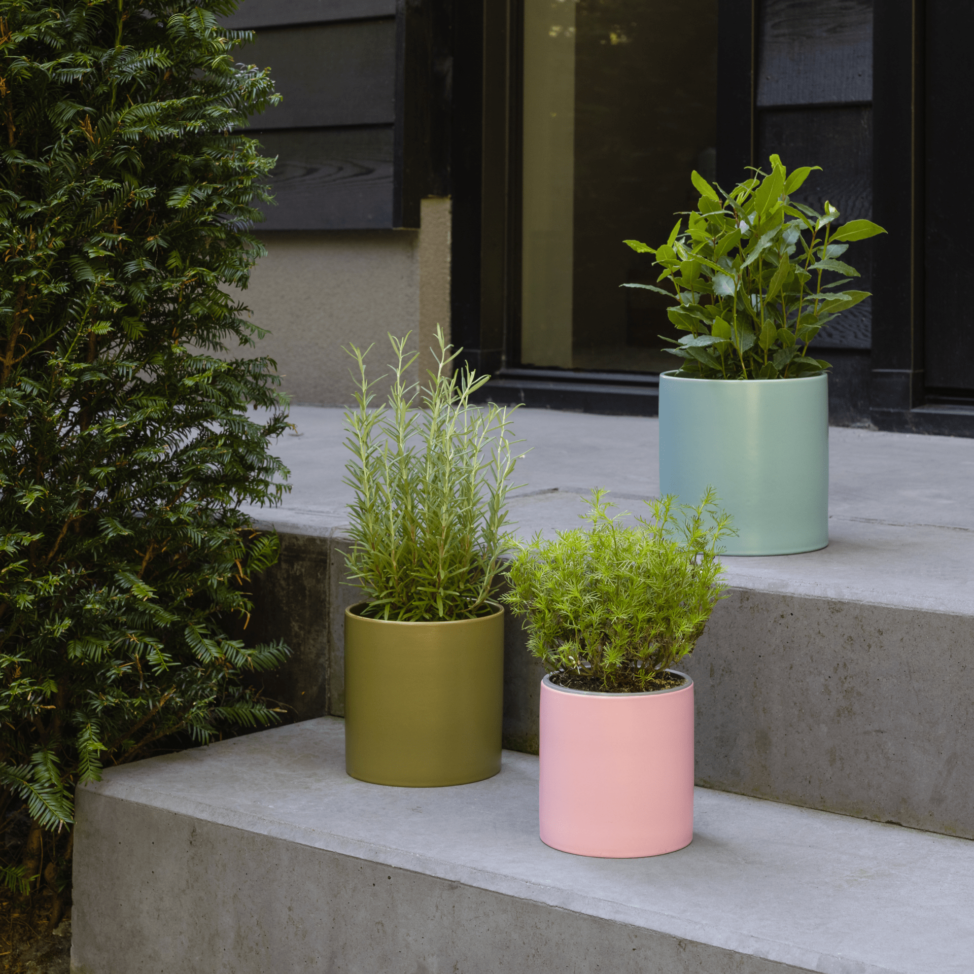 Plant Pots, set of 3