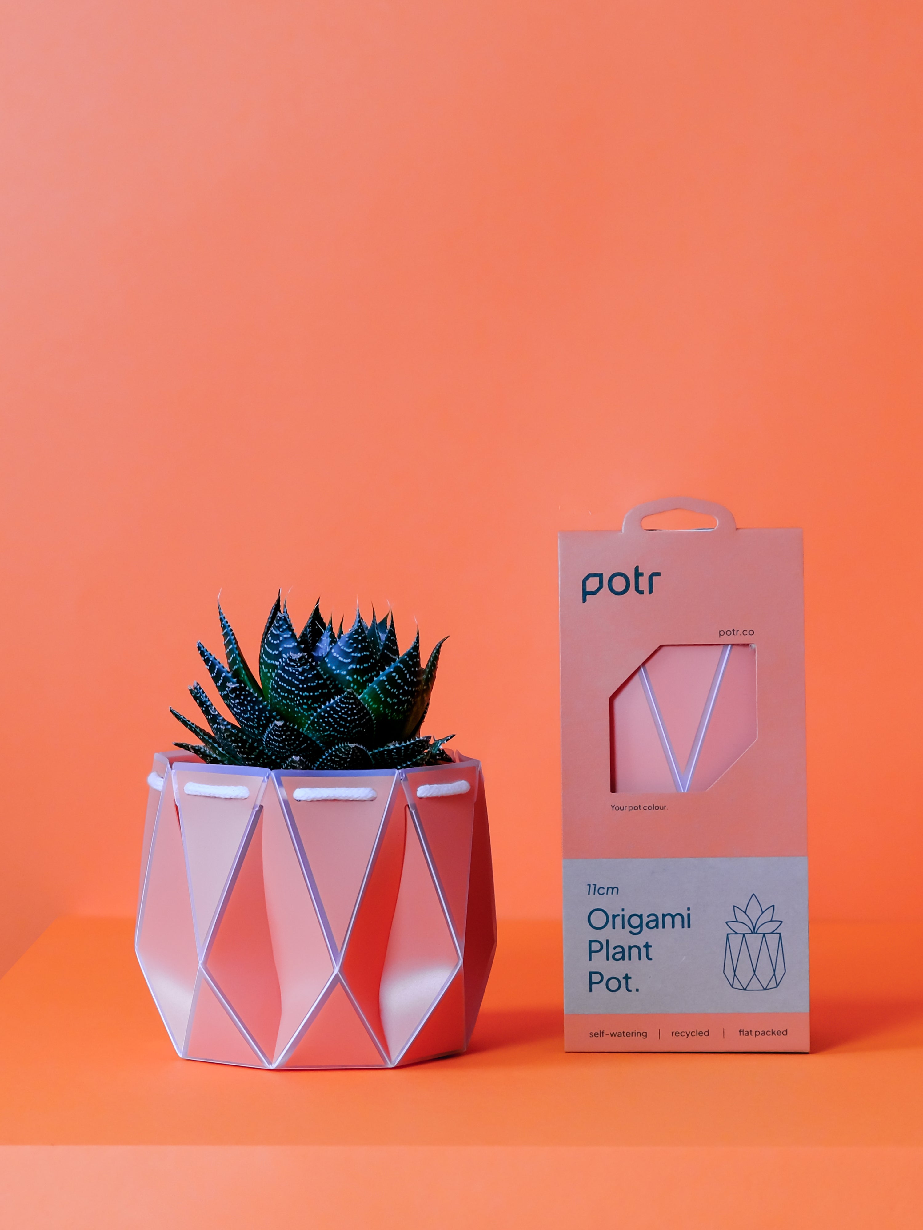 Potr, Coral Orange Pot (11cm)