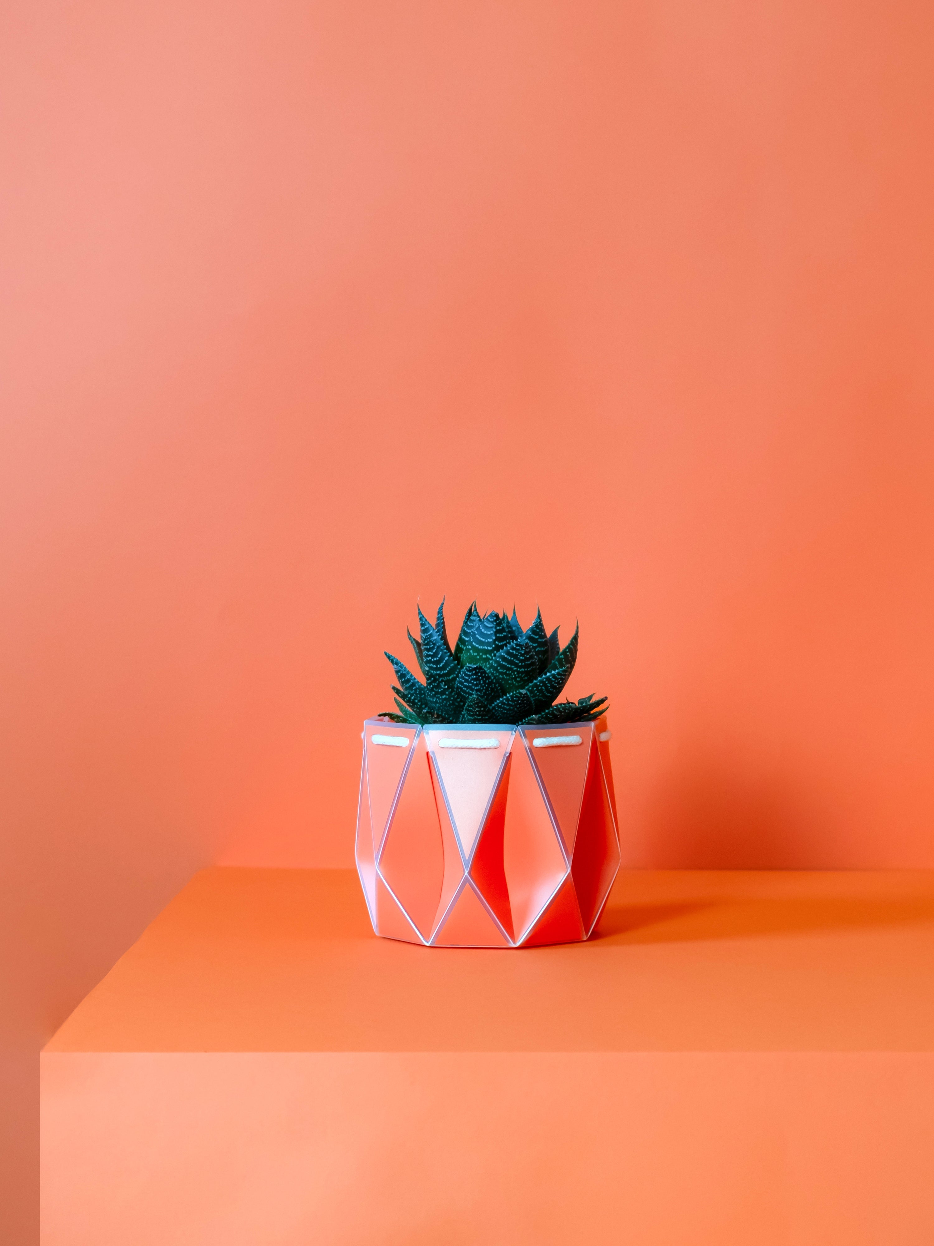 Potr, Coral Orange Pot (11cm)