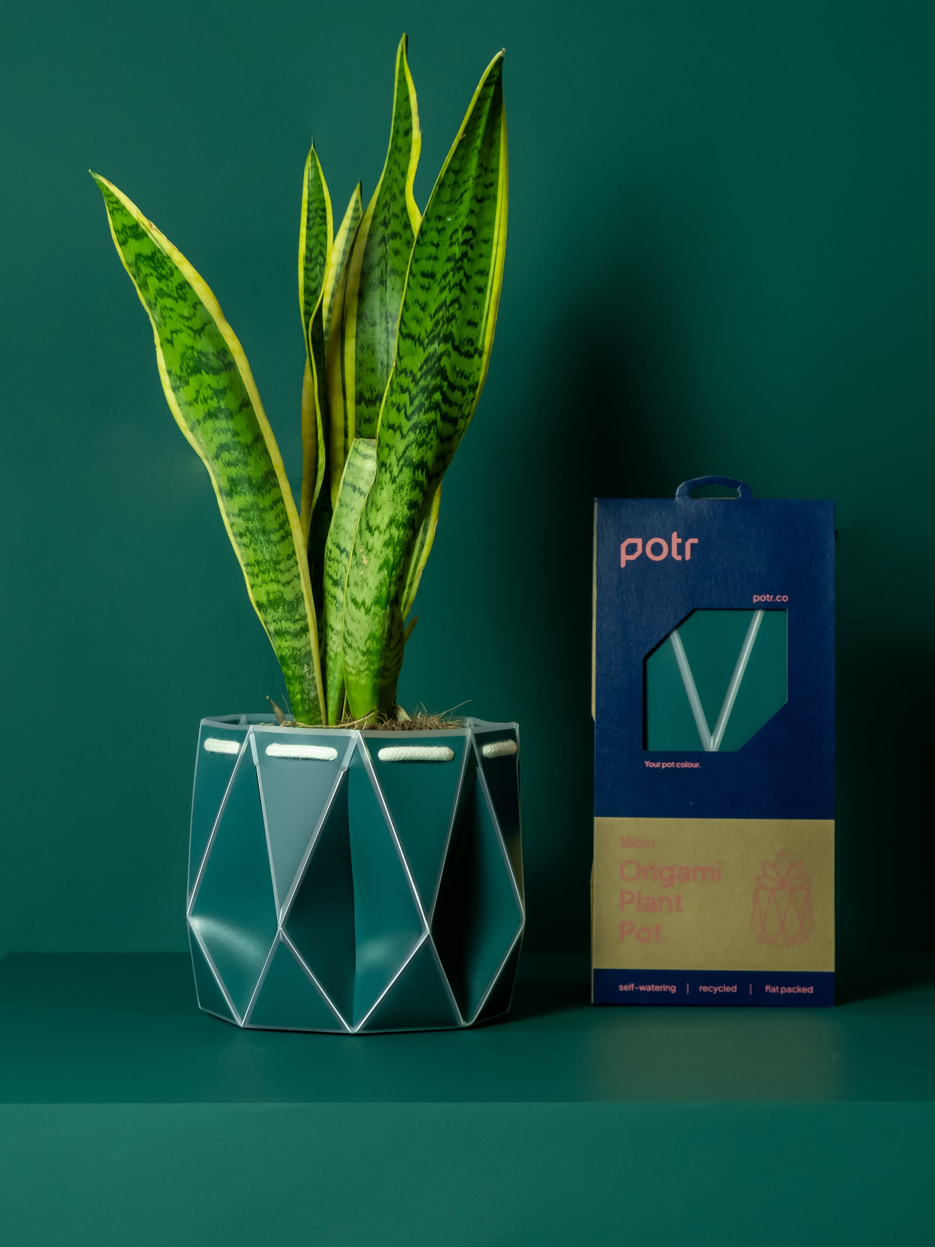 Potr, Pine Green Pot (18cm)