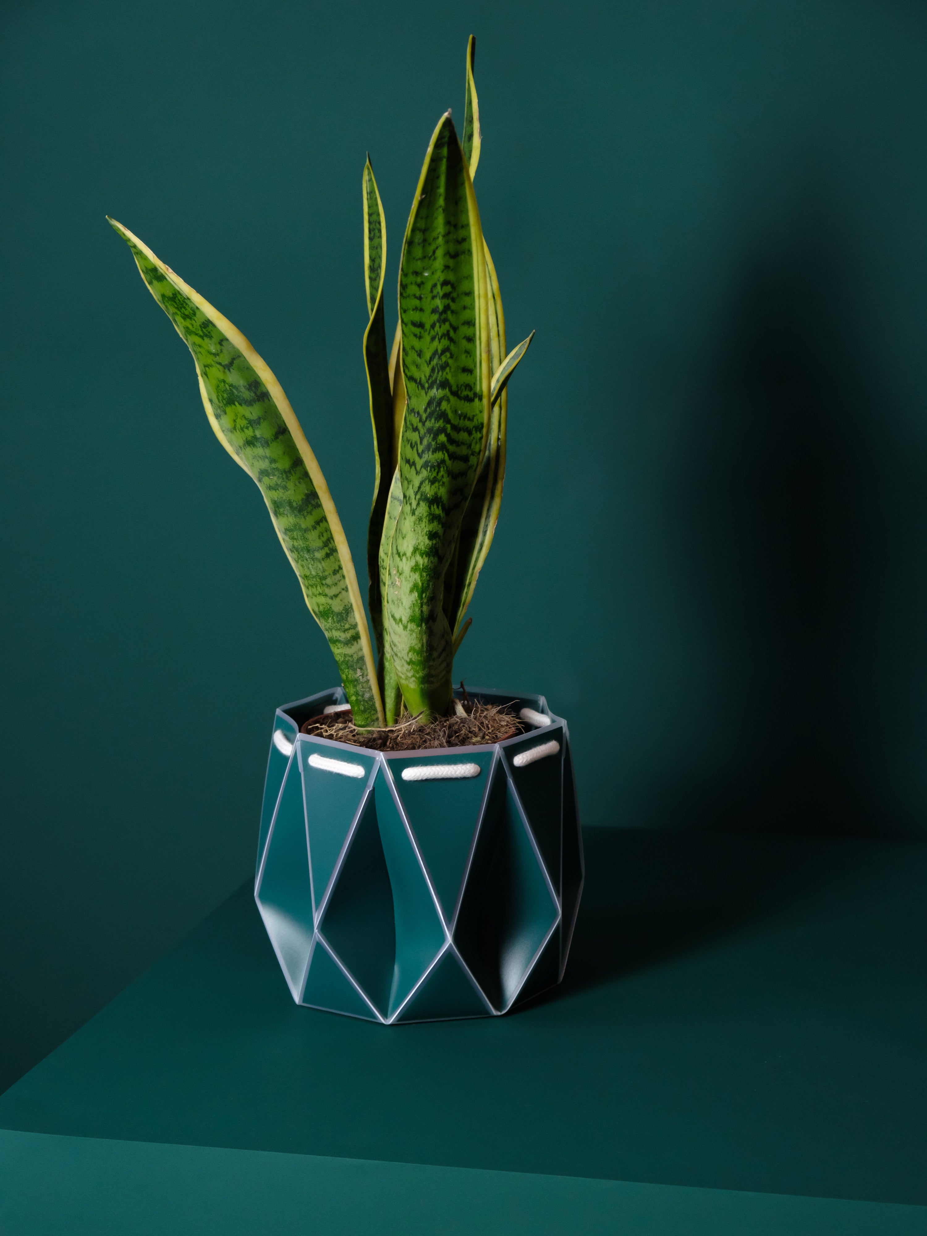 Potr, Pine Green Pot (18cm)