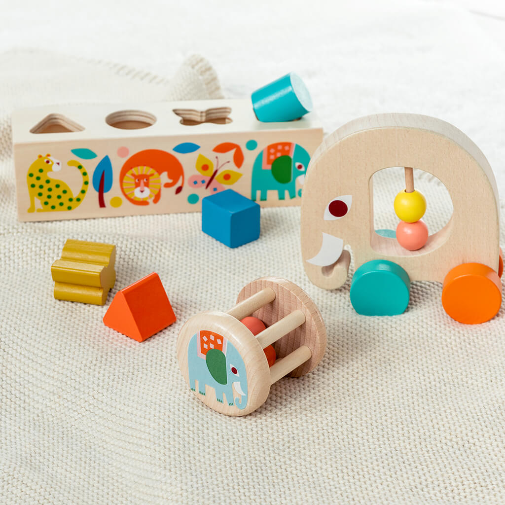 Rex London, Wooden Shape Sorter Wild Wonders