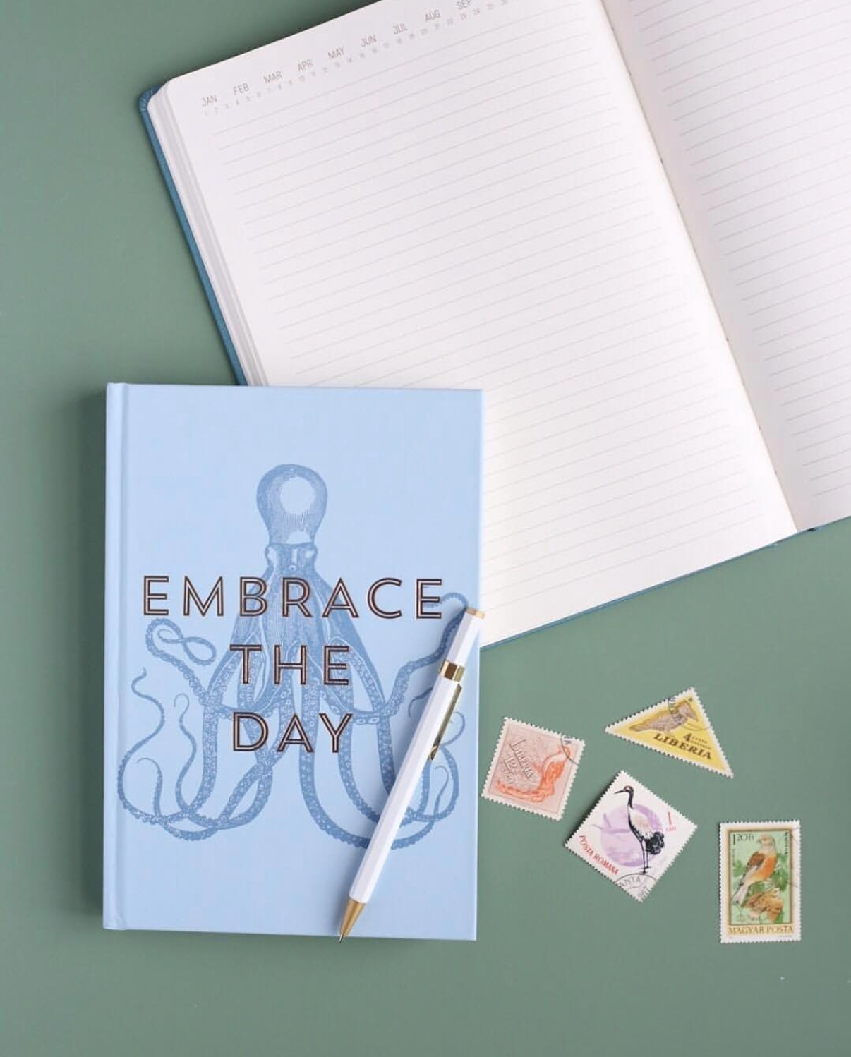 Journal Embrace The Day