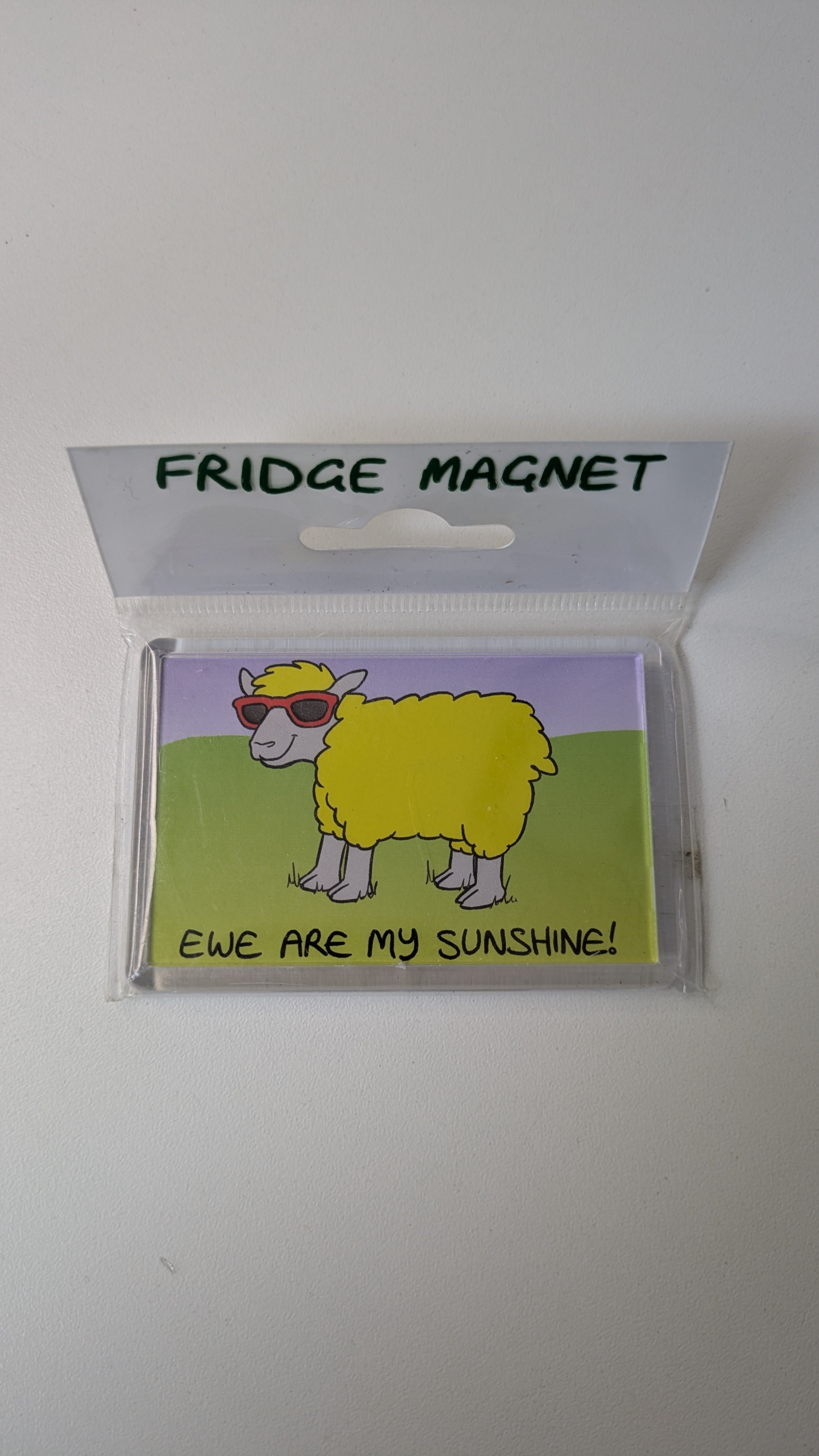 Vanessa Bee Designs, Ewe are my sunshine - Fridge Magnet