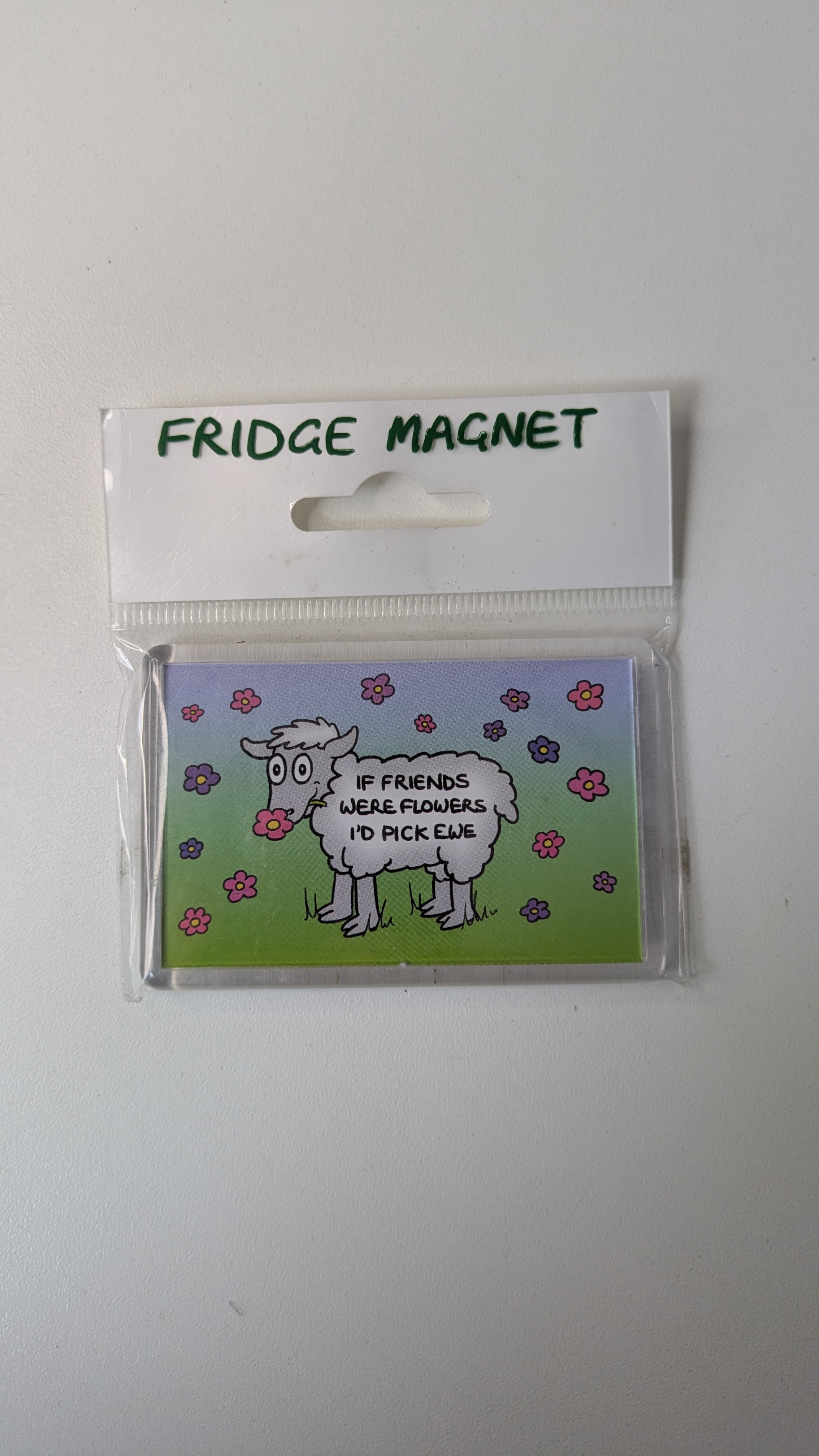 Vanessa Bee Designs, I'd pick ewe - Fridge Magnet