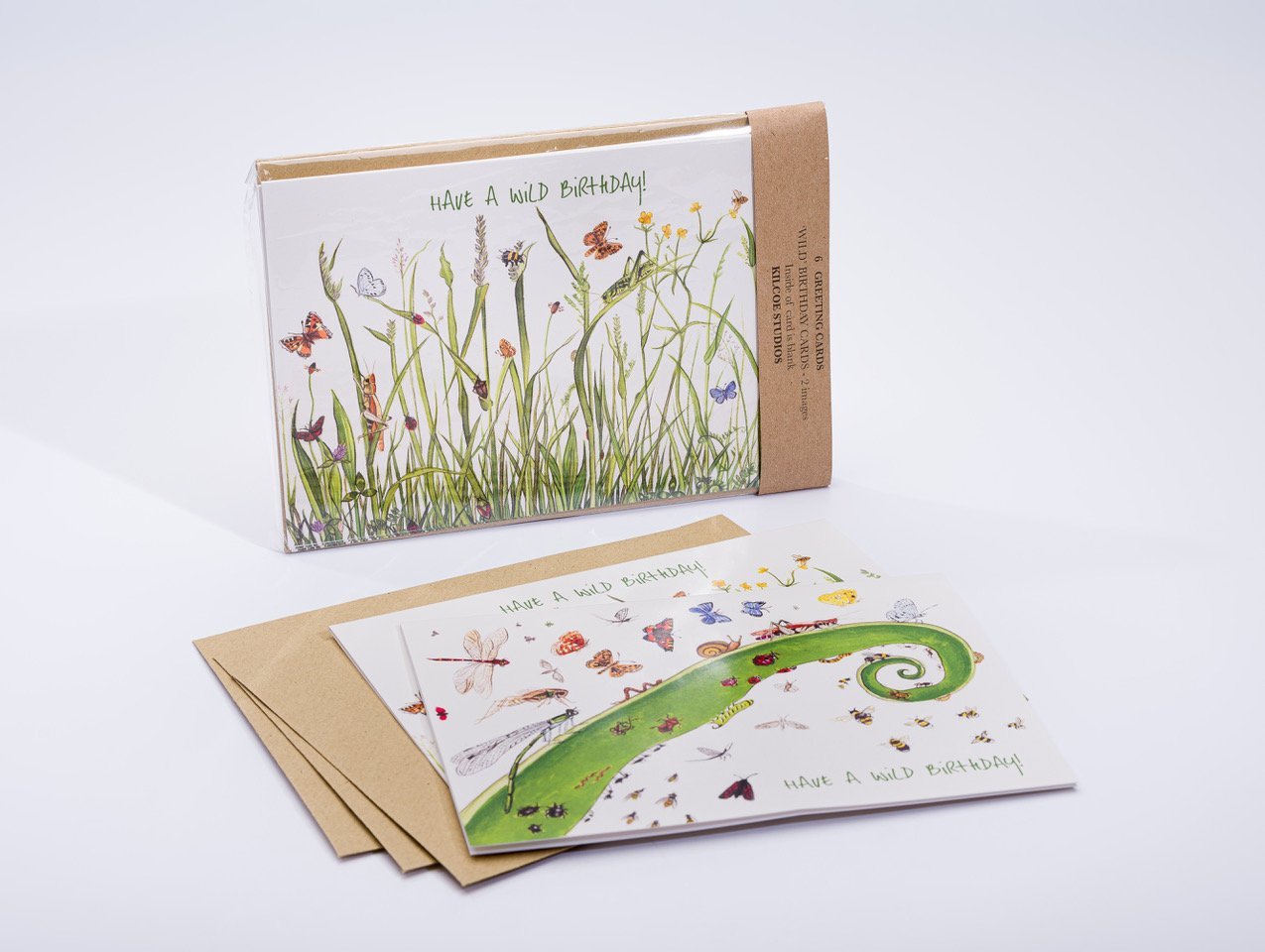 Kilcoe Studios, Wild Birthday, 6 Greeting Cards