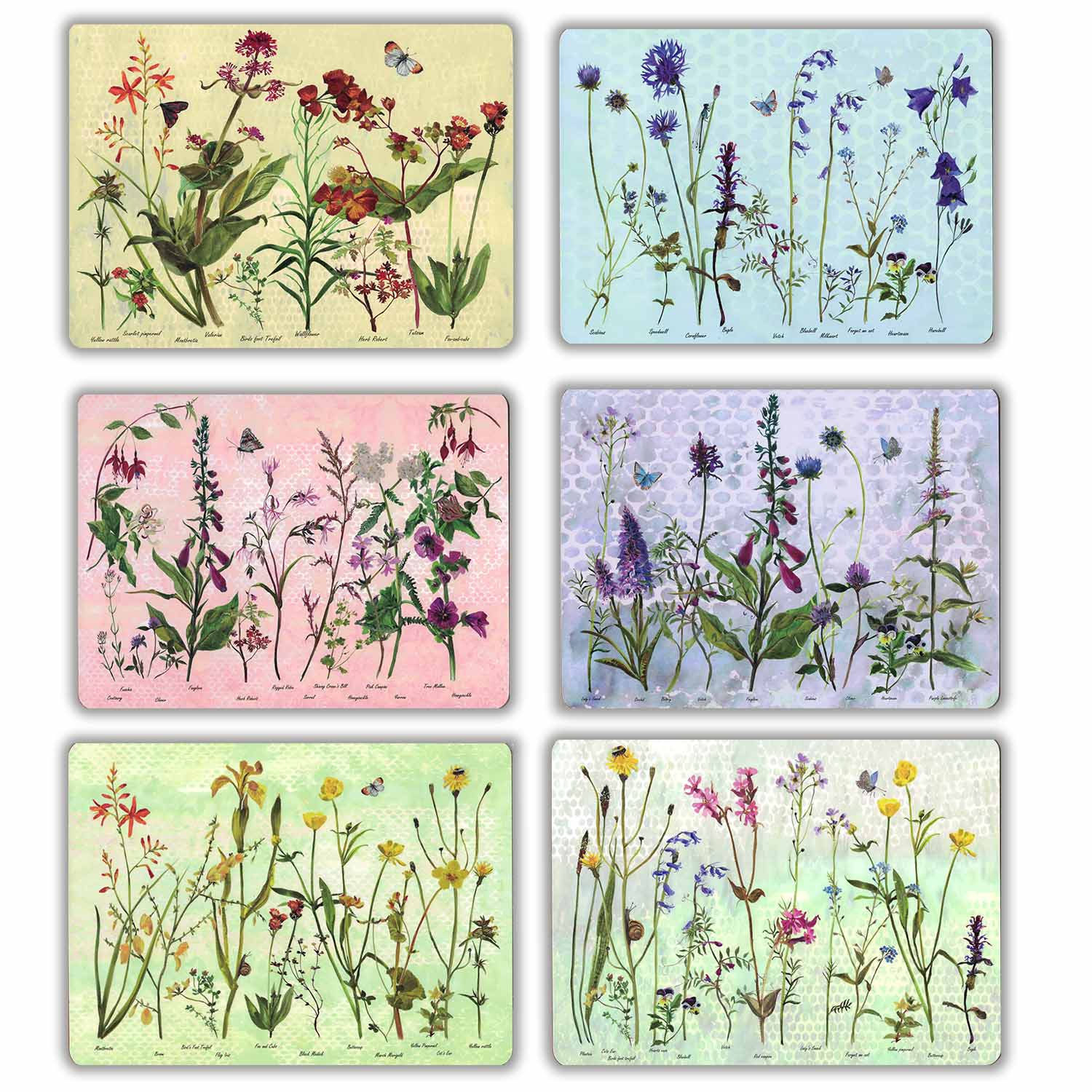 Annabel Langrish, Wildflowers 6 Placemats and Giftbox Set