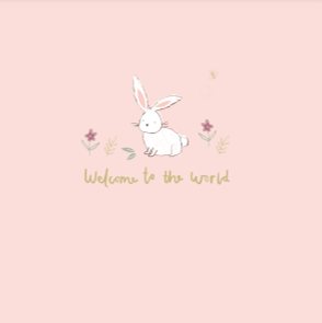 Ziggle, Bunnies New Baby Card