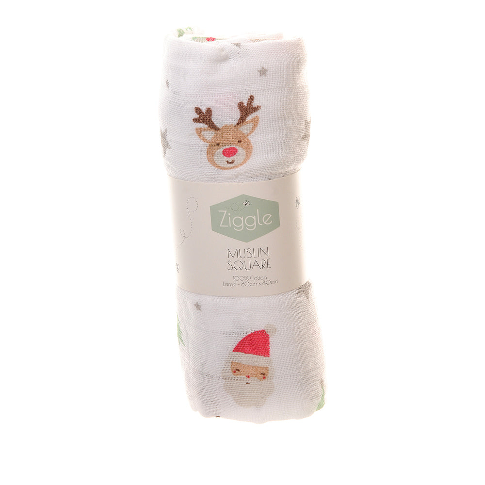 Ziggle, Christmas Story & Snuggle Bundle