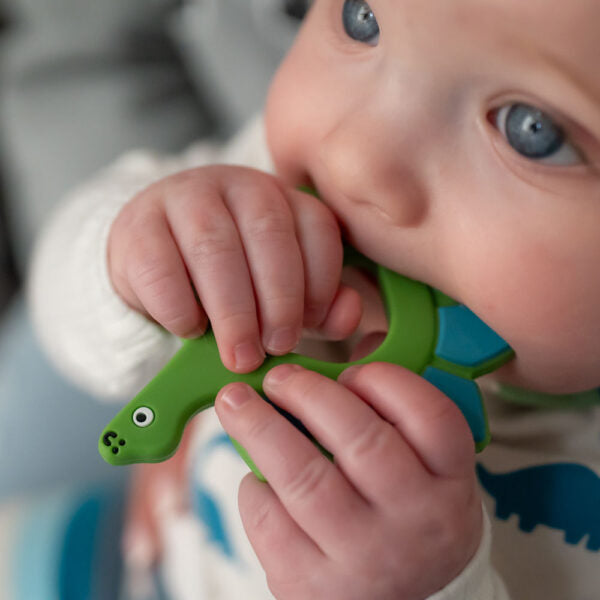 Ziggle, Dinosaur Teether