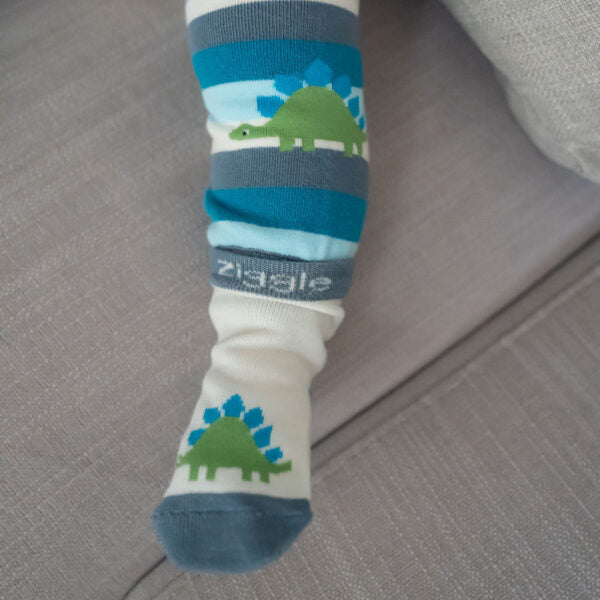 Ziggle, Dinosaur Boxed Sock Set