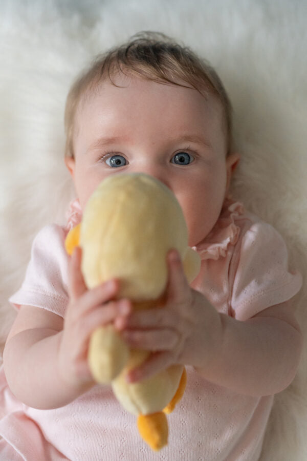 Ziggle, Duck Plush Baby Rattle