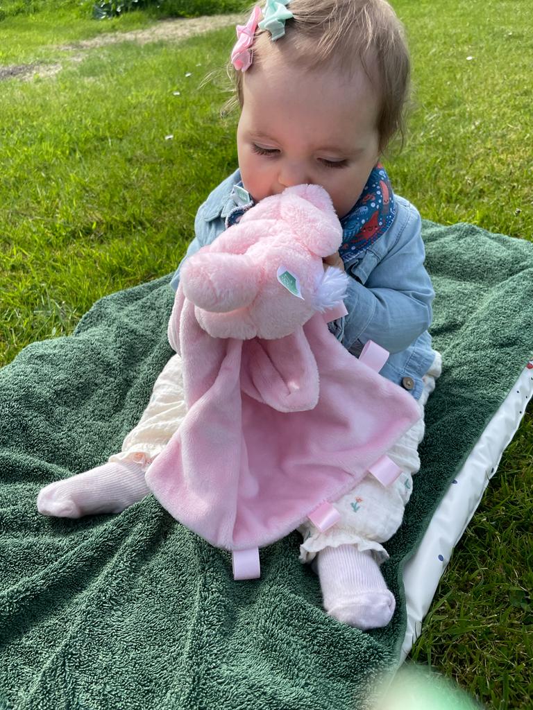Ziggle, Pink Bunny Plush Comforter Blanket