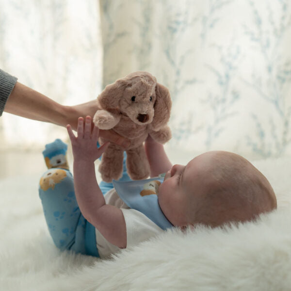 Ziggle, Puppy Plush Toy