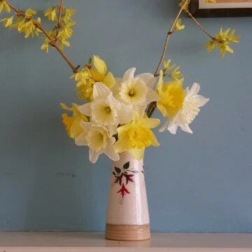 Nicholas Mosse, Fuchsia Tapered Small Vase