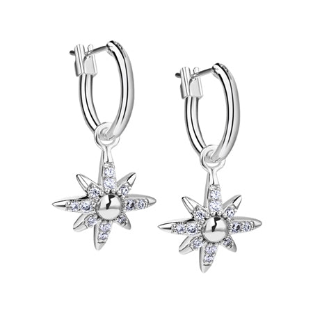 Newbridge, Star Earrings Clear Stone