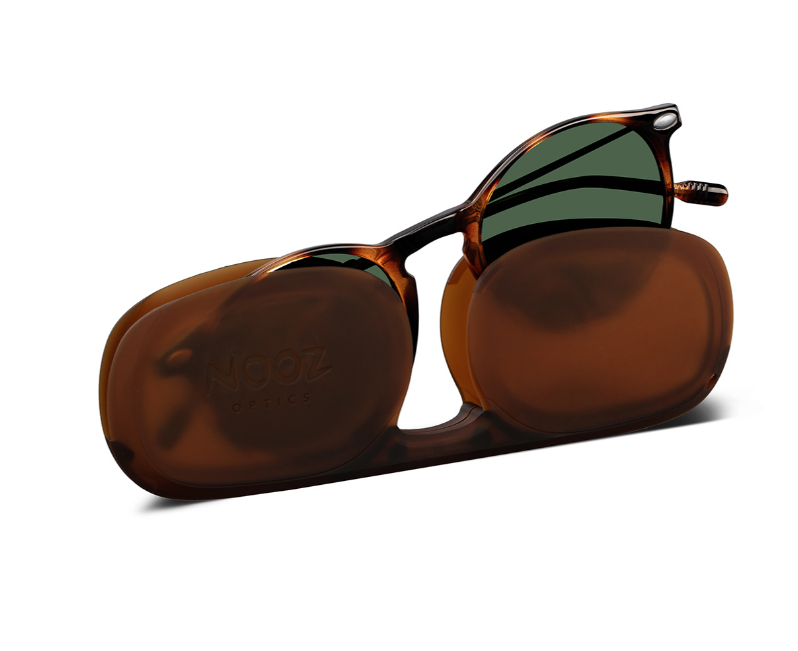 Essential Sun Cruz Tortoise Sunglasses